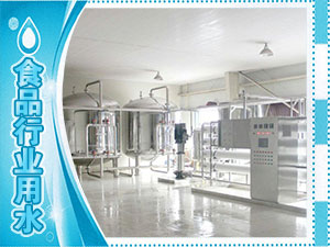 食品廠(chǎng)、水廠(chǎng)生產(chǎn)用水系列